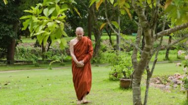 Tayland orman manastırında keşiş yürüyüş meditasyonu. Yüksek kalite 4k görüntü