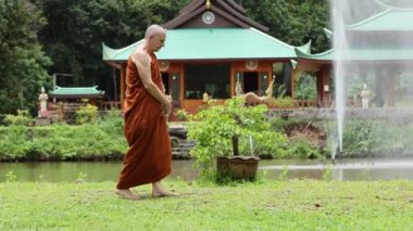 Tayland orman manastırında keşiş yürüyüş meditasyonu. Yüksek kalite 4k görüntü
