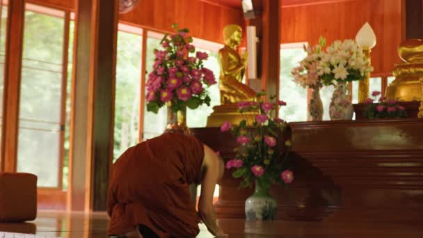 Boeddhistische Monnik Buigt Voor Boeddhabeeld Tempel Hoge Kwaliteit Beeldmateriaal — Stockvideo