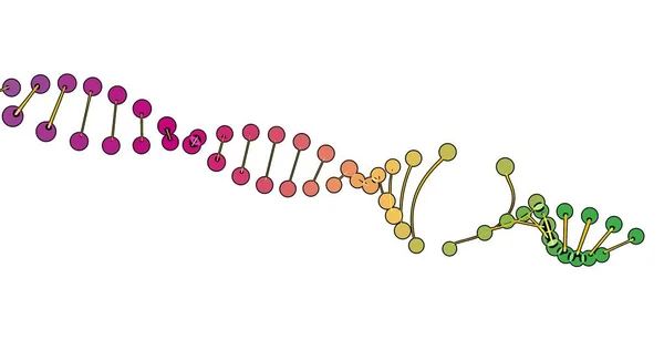 Visualização Colorida Análise Dna Isolado Fundo Branco Animação Rotação Para — Fotografia de Stock