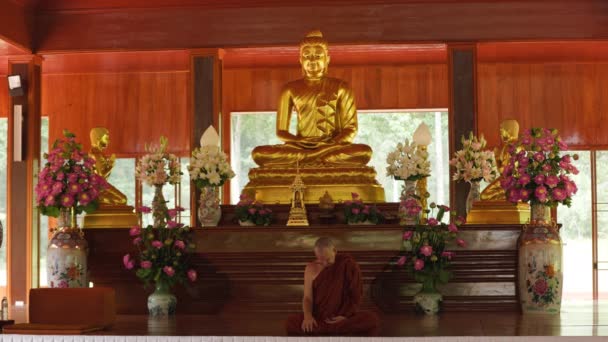 Βουδιστής Μοναχός Υποκλίνεται Μπροστά Από Άγαλμα Του Βούδα Στο Ναό — Αρχείο Βίντεο