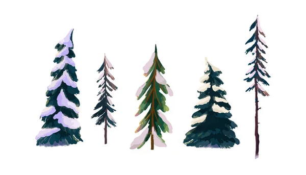 A set of snow-covered coniferous trees. Spruce and pine trees in the snow — Stock Vector