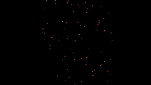 渦巻く火花粒子黒の背景ループ上の抽象的なアニメーション — ストック動画