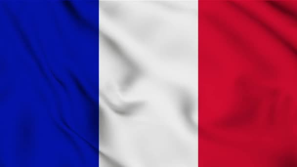 Wuivende vlag van Frankrijk lus animatie. — Stockvideo