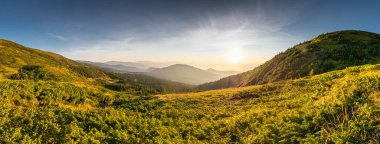Carpathian dağlarının tepesinde gün doğumu, sabahları muhteşem doğa manzarası. Açık hava aktivitesi. Dağların tepesinde, alt kısımları yemyeşil.