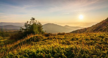 Karpatlar 'da güzel bir gün doğumu. Dağlarda seyahat, özgürlük ve aktif yaşam tarzı konsepti. Karpat Dağları 'nın güzelliği. Canlı bir fotoğraf.