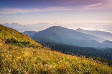 Karpat dağlarında aydınlık bir yaz sabahı. Resimli açık hava sahnesi. Dağlarda seyahat, özgürlük ve aktif yaşam tarzı konsepti. Karpat Dağları 'nın güzelliği. Canlı bir fotoğraf.