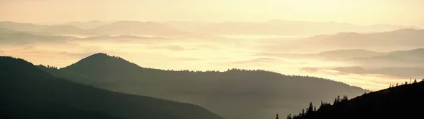 Karpatlar 'da güzel bir gün doğumu. Güneş doğarken tepe çizgisi. Güzel doğal manzara. Canlı bir fotoğraf. Panoramik görünüm.