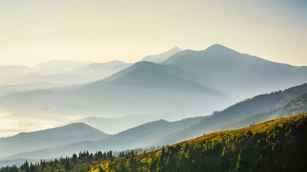 Karpatlar 'da güzel bir gün doğumu. Güneş doğarken tepe çizgisi. Güzel doğal manzara. Canlı bir fotoğraf. Panoramik görünüm.