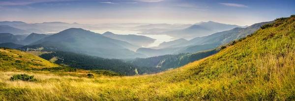 Karpatlar 'da güzel bir gün doğumu. Dağlar boyunca seyahat etmek, özgürlük ve aktif yaşam tarzı kavramı. Karpat Dağları 'nın güzelliği. Canlı bir fotoğraf.