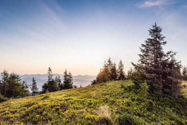 Panorama sabah Karpat Dağları manzarası. Karadağ sırtı, Transcarpathia, Ukrayna, Avrupa 'da sabah. Doğanın güzelliği, arka plan konsepti