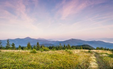 Panorama sabah Karpat Dağları manzarası. Karadağ sırtı, Transcarpathia, Ukrayna, Avrupa 'da sabah. Doğanın güzelliği, arka plan konsepti