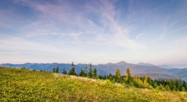 Parlak Karpat manzarası sabah ışığında güzel yeşil çimenler ve mavi gökyüzü. Panoramik manzara. Doğanın güzelliği, arka plan konsepti
