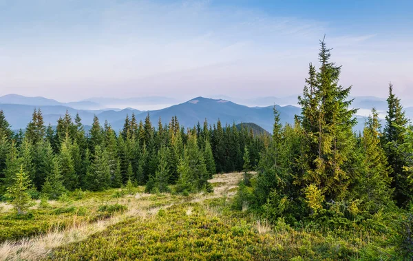 Parlak Karpat manzarası sabah ışığında güzel yeşil çimenler ve mavi gökyüzü. Panoramik manzara. Doğanın güzelliği, arka plan konsepti