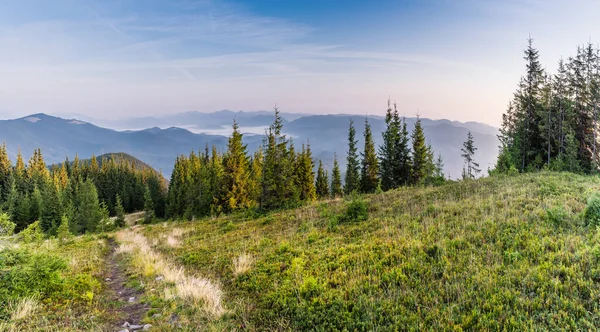 Panorama sabah Karpat Dağları manzarası. Karadağ sırtı, Transcarpathia, Ukrayna, Avrupa 'da sabah. Doğanın güzelliği, arka plan konsepti