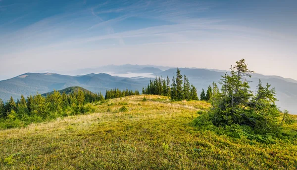 Parlak Karpat manzarası sabah ışığında güzel yeşil çimenler ve mavi gökyüzü. Panoramik manzara. Doğanın güzelliği, arka plan konsepti