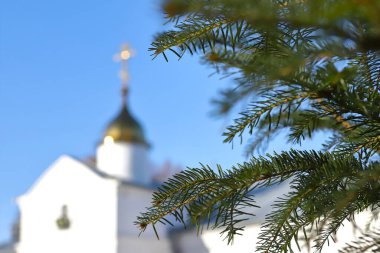 Ortodoks ikonu ve haçın arka planındaki Noel ağacı dalı. Ortodoks Kilisesi. Kış Noel 'dir. Ortodoksluk kavramı.