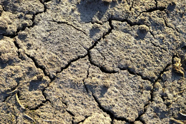 Solo Seco Rachado Fundo Seco Terra Rachada Ecologia — Fotografia de Stock