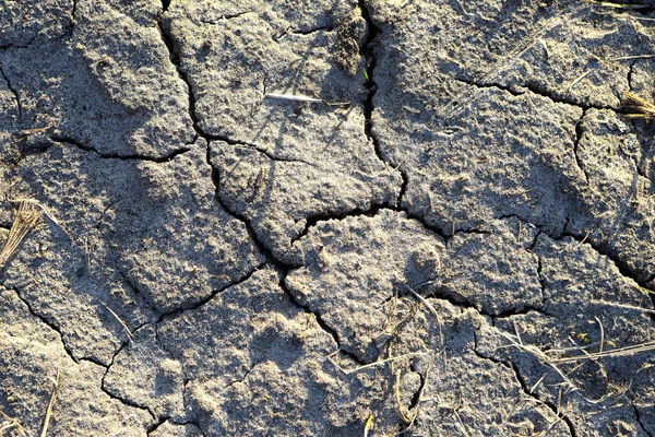 Solo Seco Rachado Fundo Seco Terra Rachada Ecologia — Fotografia de Stock