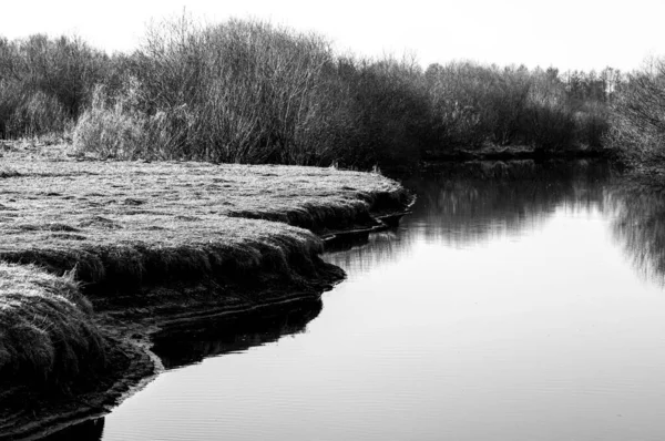 Sonniger Tag Einem Ruhigen Fluss Zeitigen Frühling Die Natur Schwarz — Stockfoto