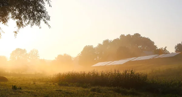 Solar panels, summer morning, fog. Solar panels with fog in summer cancer, against the sun. The concept of combining alternative technologies and nature. Soft focus