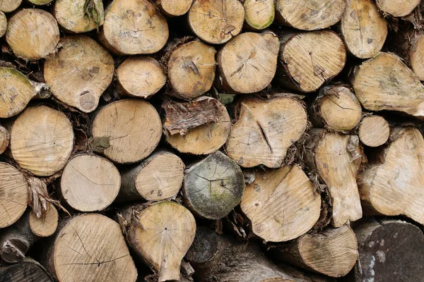 Cut ends of logs in a stack