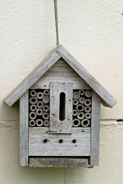 Bug hotel with bamboo canes — Stockfoto