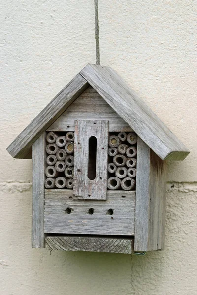 Bug hotel with bamboo canes — Stok fotoğraf