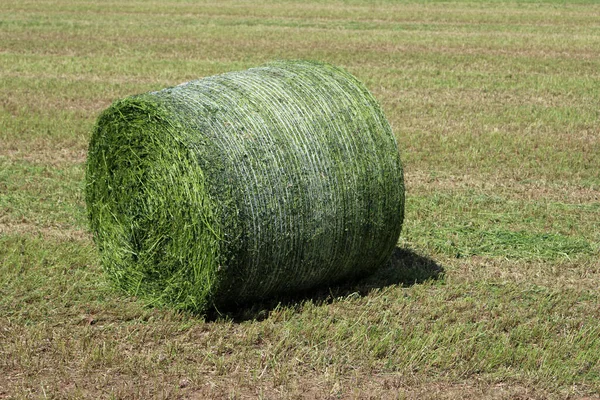 Mown Grass Field Netted Bale Grass Being Wrapped Plastic Make — Stock Photo, Image