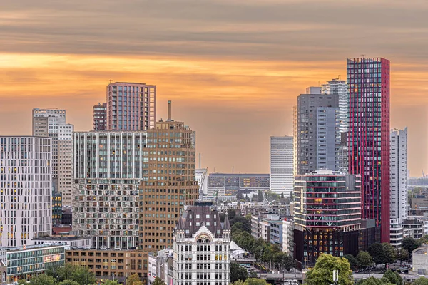 Sky line of Rotterdam, Netherlands at sunset showing the sky scrapers and office buildings