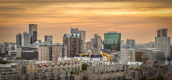 Sky line of Rotterdam, Netherlands at sunset showing the sky scrapers and office buildings