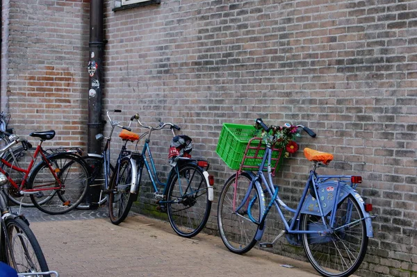 Uniwersytet Geparkeerde Fietsen Bij Groningen — Zdjęcie stockowe