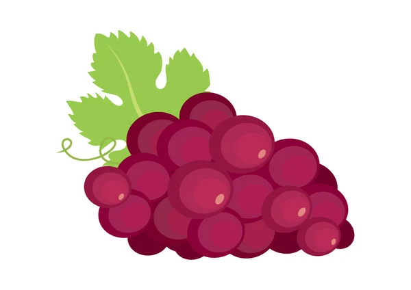 一个红色多汁成熟葡萄图标向量 在白色背景上分离的紫色酒束葡萄载体图标 — 图库矢量图片