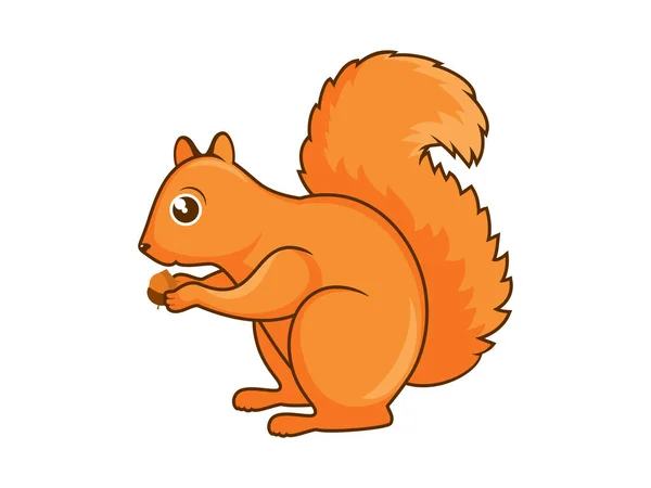 Cute Red Squirrel Acorn Icon Vector Squirrel Icon Isolated White — Stock Vector