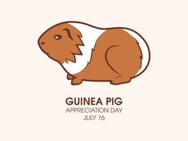 Gine domuzu değerlendirme günü vektörü. İki renkli ikon vektörlü şirin kobay faresi. Favori hayvan ikonu. 16 Temmuz, önemli bir gün.