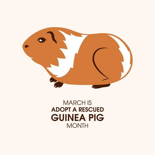 March Adopt Rescued Guinea Pig Month Vector Cute Guinea Pig — Stock Vector