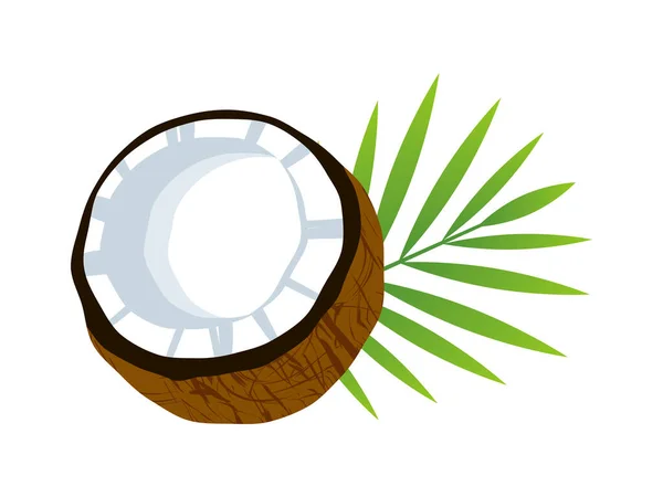 Die Hälfte Der Kokosnuss Mit Palmblatt Symbolvektor Frische Kokosnuss Symbolvektor — Stockvektor