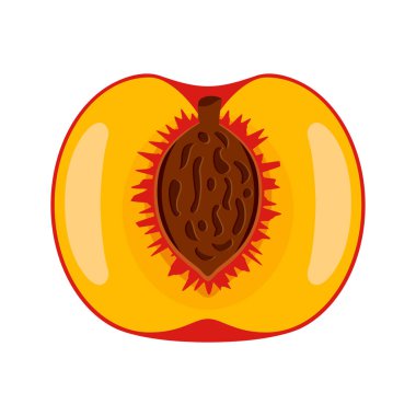 Şeftali, yarı simge vektörüyle kesilmiş. Beyaz arka planda yarım şeftali ikonu vektörü izole edilmiş. Taze şeftali meyvesi çizimi