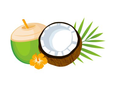 Brown and green halved coconut icon vector. Coconut exotic still life drawing. Coconuts and palm leaf icon vector isolated on a white background