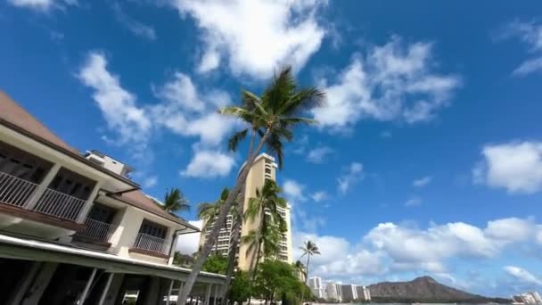 Walking Famous Waikiki Beach Warm Waves Pacific Ocean Wash Tropical — Vídeos de Stock