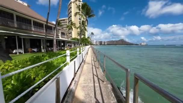 Walking Famous Waikiki Beach Warm Waves Pacific Ocean Wash Tropical — Stockvideo