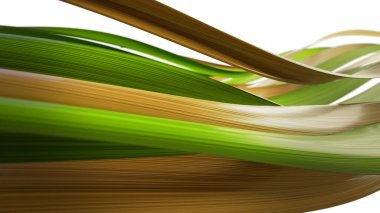 fiber optik kablo aktarım verisi