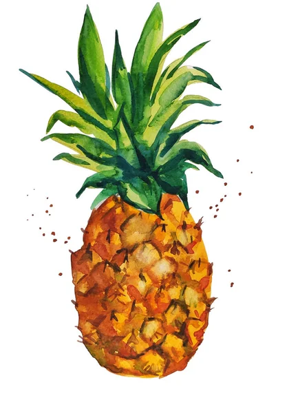 Ananas Akwarela Ręcznie Rysowane — Zdjęcie stockowe