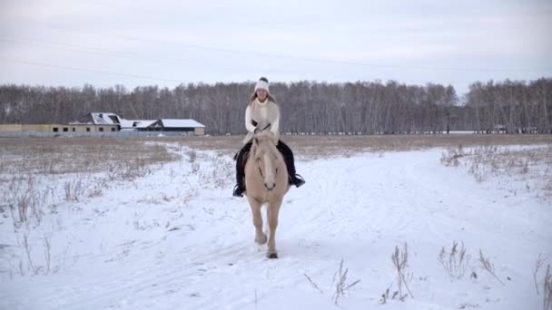 Young blonde in fur, white sweater and wool hat, rides horse on field in winter — Stock Video