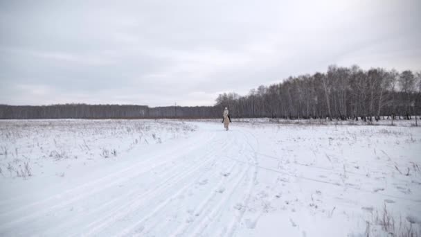 Young blonde in fur, white sweater and wool hat, rides horse on field in winter — Stock Video