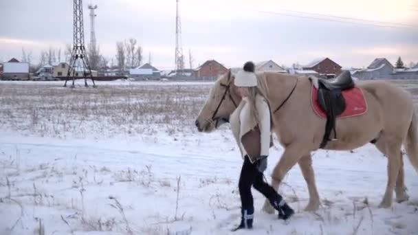 Nuori blondi turkissa, valkoinen villapaita ja villahattu, ratsastaa hevosella kentällä talvella — kuvapankkivideo