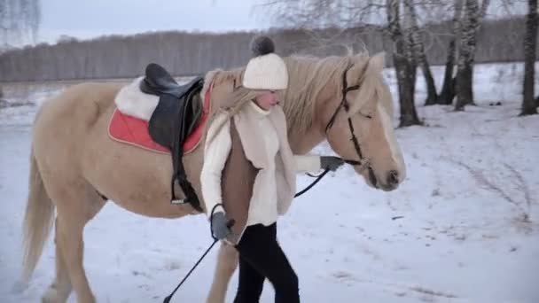 Chica joven lleva a su caballo por la brida a través del invierno, campo nevado en el bosque — Vídeos de Stock