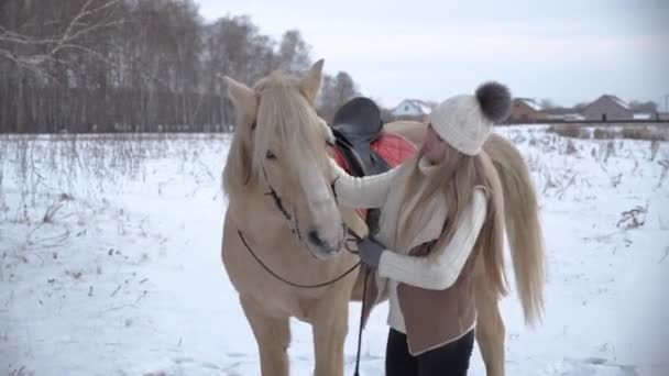 Dulce chica en suéter sombrero blanco y chaleco de piel sonríe y acaricia caballo en invierno — Vídeo de stock