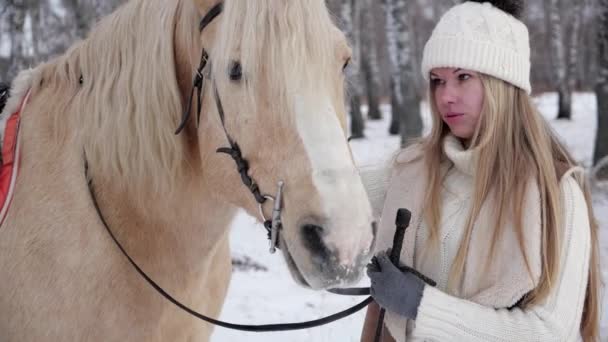 Jolie fille caressant et communique avec cheval beige sur ranch de campagne en hiver — Video