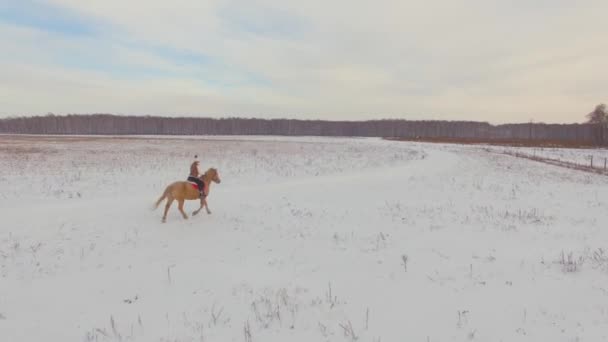 Стрельба с воздуха. Девушка в меховом жилете верхом на большой бежевой лошади в снежном зимнем ранчо — стоковое видео